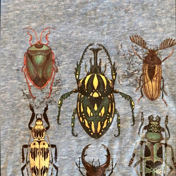 SOLD! H&M Beetle Bug Short Sleeve T-Shirt Boy Girl Size 4-6 - Picture 3 of 6
